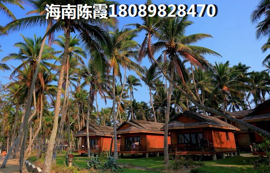嵊州白鹭金湾 一居  户型图